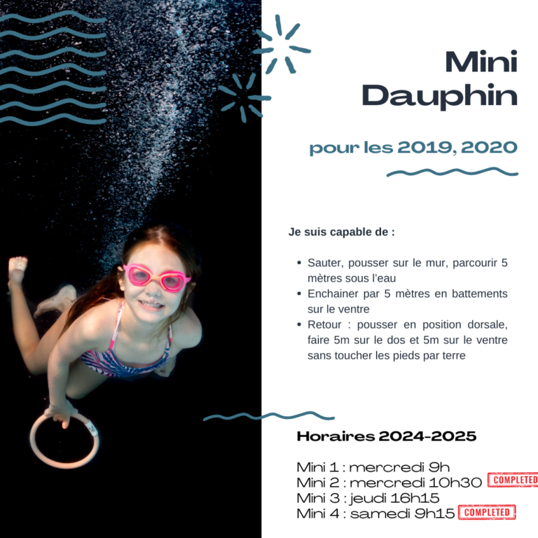 mini dauphin